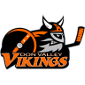 Don Valley Vikings