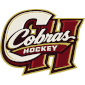 Kingston Cobras