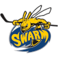 Manchester Swarm